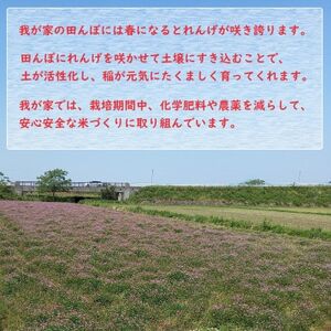 熊本県益城町産米 令和6年産「ヒノヒカリ」10kg(5kg×2袋)【1550578】