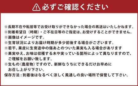【年4回定期便】 デコポン約3kg （8～12玉入り）×4回 （計約12kg） 【2026年12月上旬発送開始】 でこぽん 果物 くだもの フルーツ 果実 果汁 定期便 年4回 贈り物 熊本県 熊本県