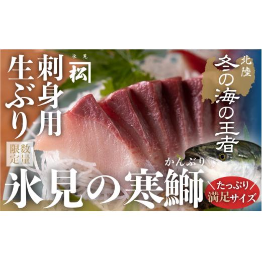 ＜先行予約＞【魚問屋直送】天然「生ひみ寒ぶり」刺身用 約800g 