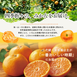 【春夏秋冬】柑橘 定期便 石本果樹園【全4回】【tkb508】