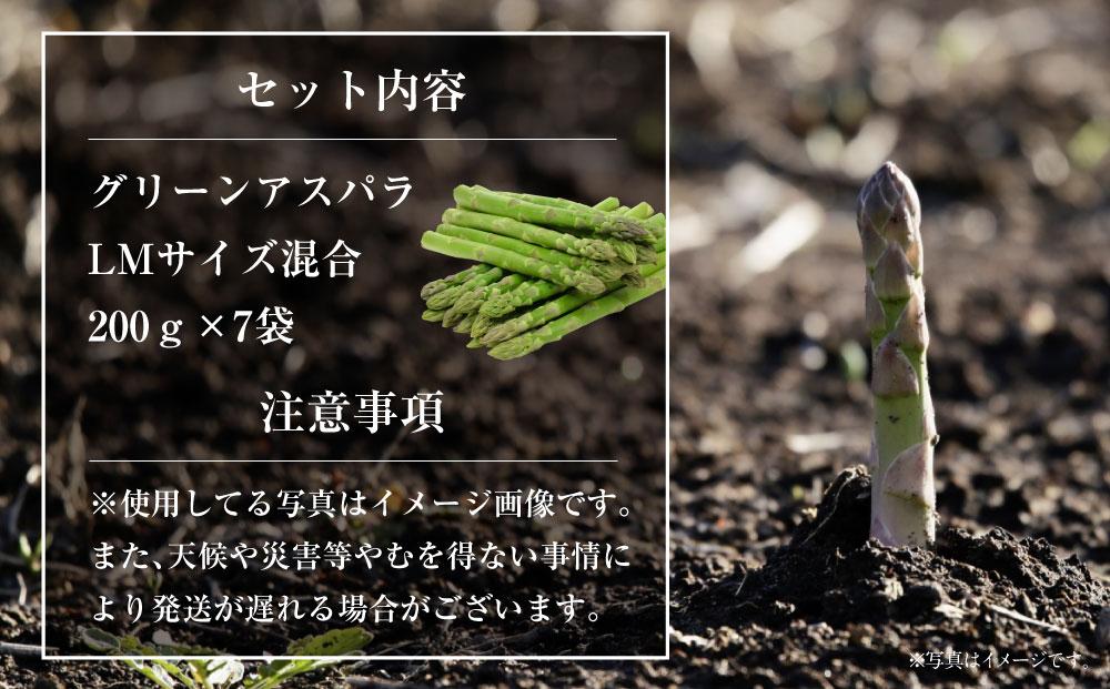 先行予約【便利な小分け袋入】グリーンアスパラ1.4kg（200g×7袋）(2024年5月中旬より順次発送予定)_01380