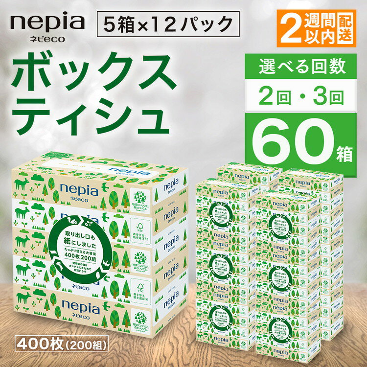 【ふるさと納税】【選べる回数】 ネピア　ネピecoティシュ200組 5箱×12パック【単品は入金確認後2週間以内発送】 | 日用品 消耗品 必需品 ティッシュ ボックスティッシュ 箱ティッシュ ストック 花粉症 花粉 防災 備蓄 まとめ買い 全国 eco サステナブル nepia