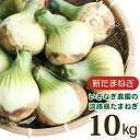 【ふるさと納税】【新たまねぎ】いざなぎ農園の淡路島たまねぎ【発送時期2025年4月中旬～5月頃】