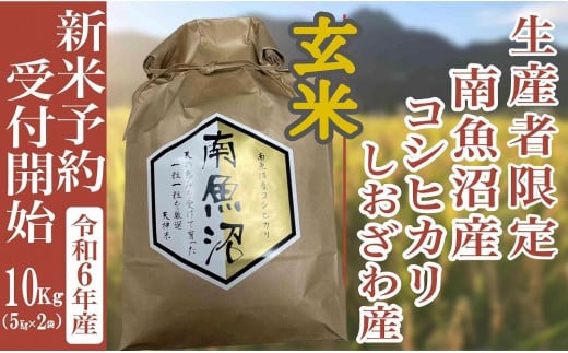 【新米予約・令和6年産】玄米10Kg 生産者限定 南魚沼しおざわ産コシヒカリ