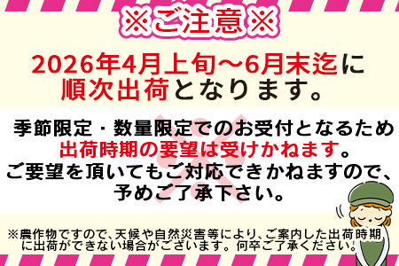 数量限定【2026年発送】＜宮崎県産 太陽のタマゴ A等級 2Lサイズ×3玉（合計約1kg）＞2026年4月上旬～6月末迄に順次出荷【 果物 くだもの フルーツ 太陽のタマゴ 太陽のたまご 完熟マンゴ