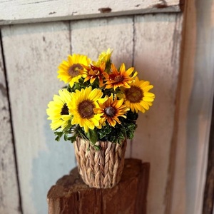 SL0274　季節を感じるフラワーアレンジ 「SAKATA ちっと」