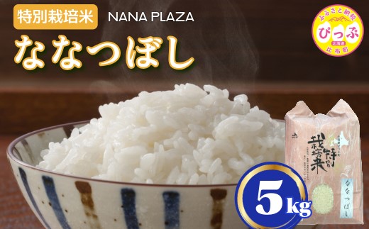 ナナプラザ　特別栽培米ななつぼし　5kg