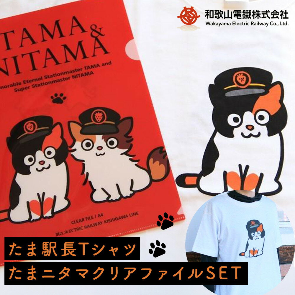 【ふるさと納税】たま駅長Tシャツ＜L＞・たまニタマクリアファイルセット