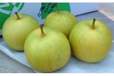 二十世紀梨 5kg【先行受付 2025年発送 梨 なし ナシ 20世紀 美味しい みずみずしい 期間限定 先行予約】