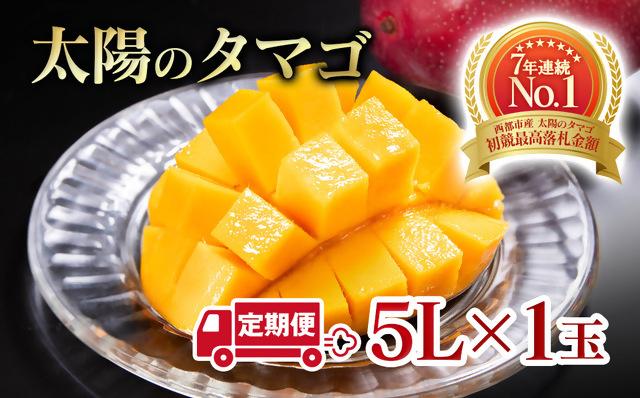 【２カ月定期便】先行予約　最高級ブランド『太陽のタマゴ』5L×1個×2回【糖度15度以上】宮崎県西都市産完熟マンゴー＜8-9＞宮崎マンゴー 果物 フルーツ 甘い