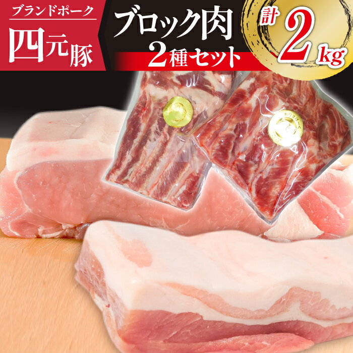 【ふるさと納税】 豚肉 四元豚 おすすめ ありすぽーく バラ 1kg ロース 1kg ブロック セット／総量 2kg ブロック肉 かたまり肉 塊肉 真空パック 送料無料 肉 お肉 精肉 国産 ポーク バラ肉 豚バラ 豚ロース 焼肉 人気 ブランド豚 お取り寄せ 岩手県 滝沢市 冷蔵 1キロ 2キロ