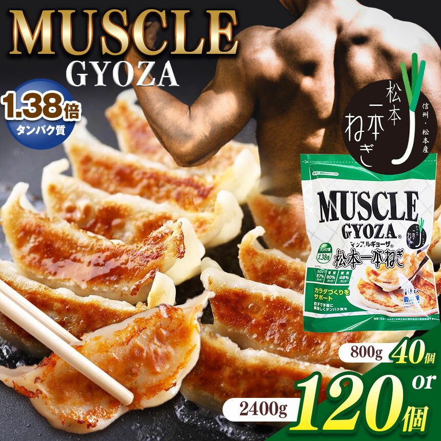 【ふるさと納税】選べる　 MUSCLE GYOZA ～ マッスルギョーザ ～ 松本 一本ねぎ｜ふるさと納税 餃子 ギョーザ ねぎ ネギ タンパク質 低糖質 マッスルギョーザ 長野県 松本市