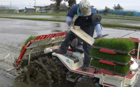【6ヶ月定期便】 令和7年産 特別栽培米 つや姫 2kg × 6ヶ月 計12kg 山形県 米沢産 精米