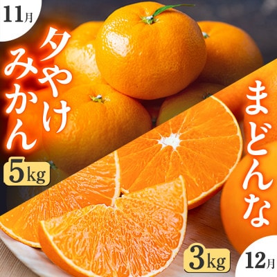 【発送月固定定期便】「こたつの上の冬物語」夕やけみかん+まどんな!【F49−72】全2回【4056123】