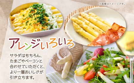 2026年発送  ホワイトアスパラ 2kg(2L～3L ）【秀品】 白旬 新鮮 野菜 朝採れ アスパラ アスパラガス ギフト 産地直送 お取り寄せ フレッシュ 甘い 春 春野菜 旬の味覚  季節 送料