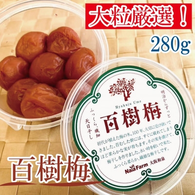 
                  ＜希少な大玉＞和泉市産 百樹梅280g×4パック　大粒厳選 豊かな香りと肉厚な果肉[なやファーム]【1741263】
                
