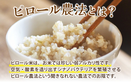 富山県滑川産 弱アルカリ性米「ピロール農法米 コシヒカリ」与文のお米（玄米5kg）産地直送 袋 玄米10kg おにぎり お米 白米 国産 ご飯 ごはん 富山県 滑川市 アグリめぐみ A-050001 