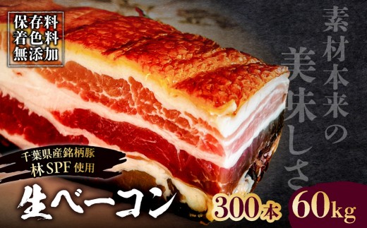 
                  生ベーコン【保存料・着色料無添加】《国産銘柄豚 林SPFプレミアムポーク 豚バラ》300本 60kg 【ベーコン 豚バラ 燻製 冷燻 林SPF 豚 豚肉 肉 お肉 冷凍 おかず ベーコンエッグ 朝食 パスタ ペペロンチーノ カルボナーラ サンドイッチ】
                