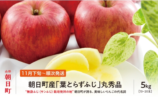 ＜ 先行予約 ＞ りんご 葉取らず ふじ 丸秀品 約 5kg 13～20玉 【2026年11月下旬から12月下旬発送】 山形県 朝日町産 山形県産 果物 フルーツ リンゴ 林檎 秋 冬