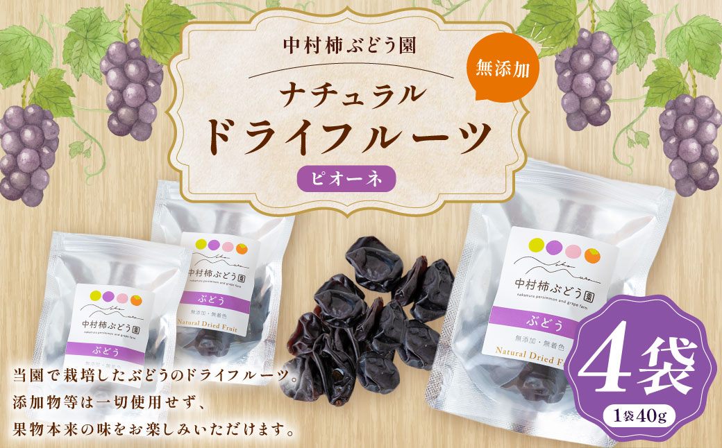 中村柿ぶどう園 ナチュラルドライフルーツ (ピオーネ) 約40g×4個