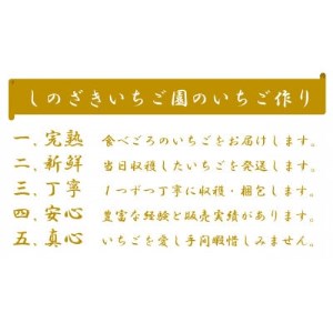 【1月から順次発送】篠崎さんちのとちおとめ＆とちあいか食べ比べセット(デラックス4パック)【配送不可地域：離島・沖縄県】【1372394】