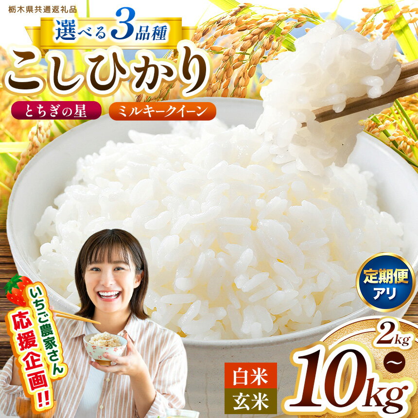 【ふるさと納税】【先行予約】栃木県共通返礼品 いちご農家さん応援企画 訳あり 選べる 定期便 限定 コシヒカリ こしひかり とちぎの星 ミルキークイーン 玄米 白米 密閉パック 2kg 4kg 5kg 10kg | 米 こめ コメ ごはん いちご お米 kome okome 栃木県 那珂川町
