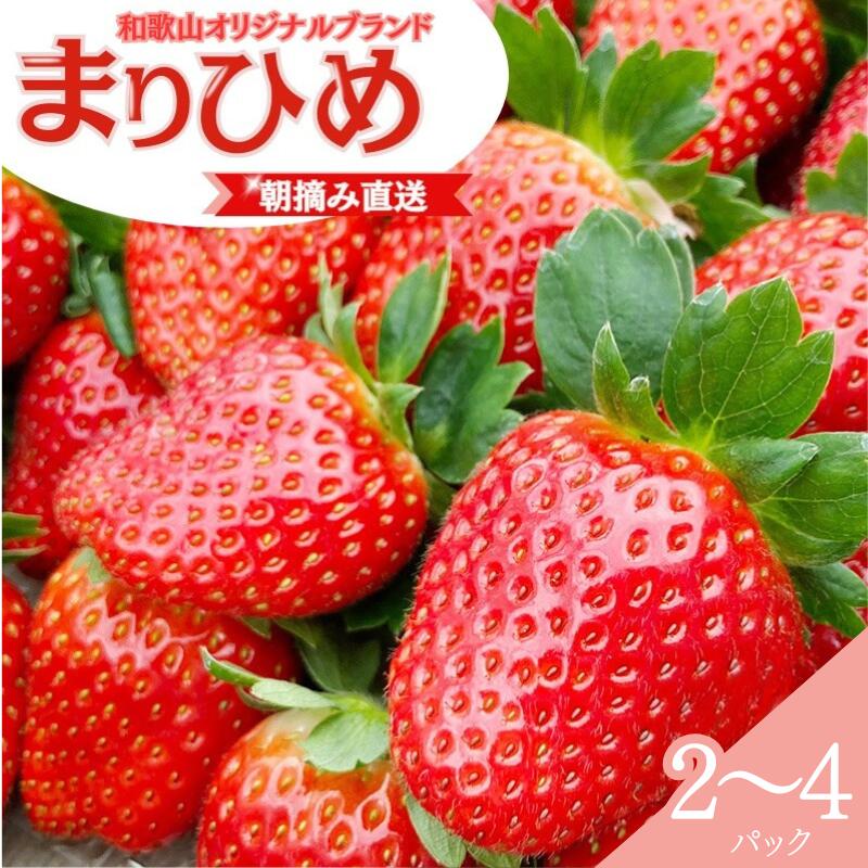【ふるさと納税】【先行予約】 特大 まりひめ いちご 朝摘 【選べるパック数】2パック 4パック / 1月中旬～3月下旬頃に順次発送予定（お届け日指定不可）/ いちご 苺 まりひめ 和歌山 フルーツ 果物 くだもの //hokaf