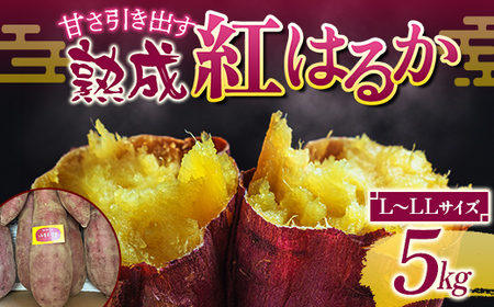 甘さ引き出す 熟成紅はるか 5kg さつまいも L～LLサイズ サツマイモ さつま芋 甘い おやつ 食品  F21T-472