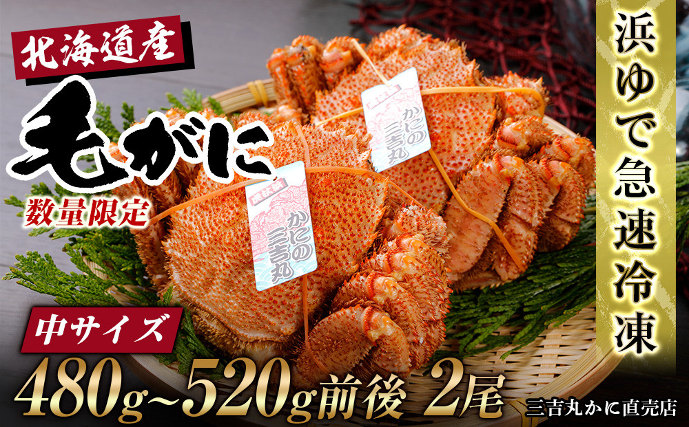 
【中サイズ】北海道産 冷凍ボイル毛ガニ (480g-520g前後) 2尾
