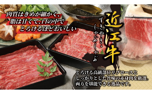 【4等級以上】厳選　近江牛　すき焼き・しゃぶしゃぶ【500g（リブロース250g、モモまたはウデ250g）】【BS01W】