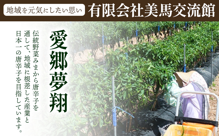 激辛薬味みまから 3袋 90g×3袋 有限会社美馬交流館《30日以内に出荷予定(土日祝除く)》徳島県 美馬市 みまから 漬物 つけもの 送料無料