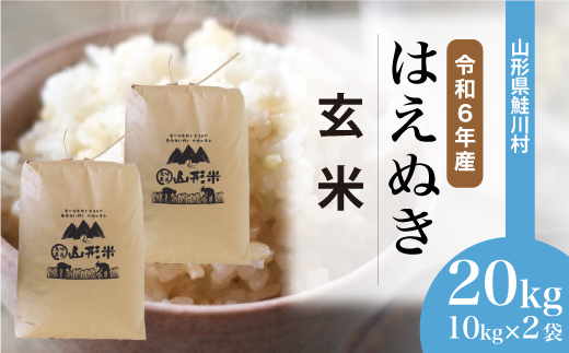 ＜令和6年産米＞令和7年6月中旬発送　はえぬき 【玄米】 20kg （10kg×2袋） 鮭川村