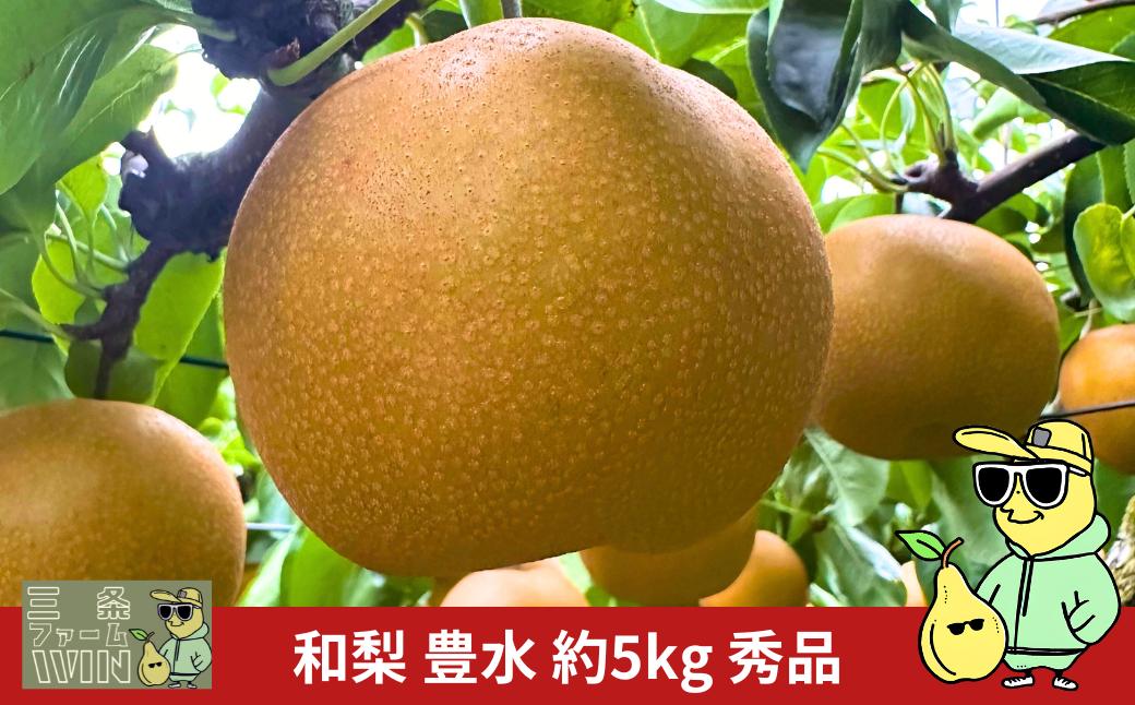 
            先行予約 和梨 豊水 約5kg 秀品 令和8年度 冷蔵 新潟フルーツ 新潟県産 梨 [三条ファームWIN] 【017S158】
          