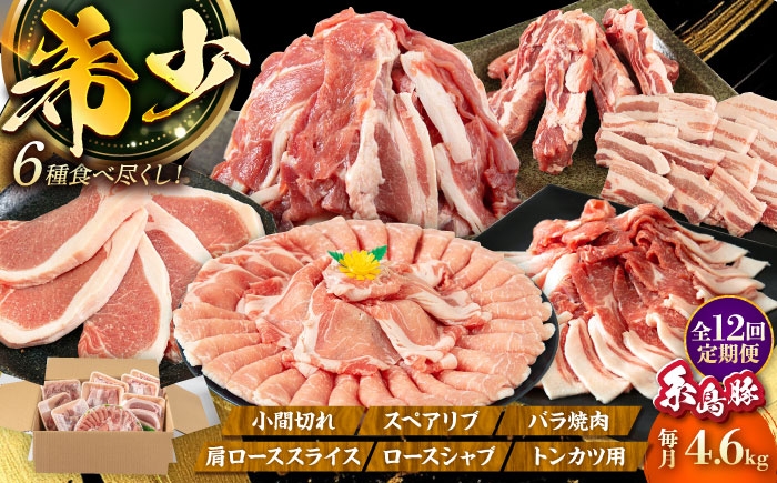 
                  【全12回定期便】合計4.6kg！糸島豚食べ尽くしセット(とんかつ、肩ロース、しゃぶしゃぶ、豚バラ、スペアリブ、小間切れ) 糸島市 / トラヤミートセンター 豚肉 セット [AJD024]
                