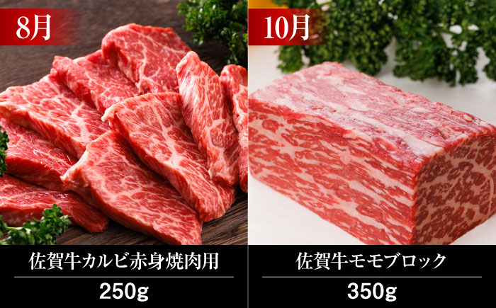 【全12回】 A5ランク 佐賀牛 霜降り 食べ比べ 定期便 約2人前 総計4kg 20万 /焼肉どすこい [UCC002] 最高級 牛肉 肉 ステーキ スライス ローストビーフ ハンバーグ