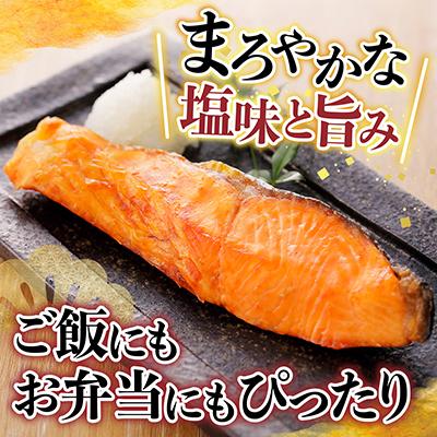ふるさと納税 根室市 [個包装]塩さばフィレ1枚×8P&塩銀鮭切り身10P A-09042 |  | 01