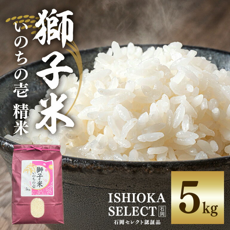 【ふるさと納税】 【令和6年産】獅子米 いのちの壱 精米 5kg 岡田ファーム コンテスト受賞米 お米 白米 米 おこめ 5キロ 国産 コメ こめ ご飯 茨城県産 茨城 産直 産地直送 農家直送 ごはん 家庭用 贈答用 ギフト 茨城県 石岡市 送料無料 (B02-017)