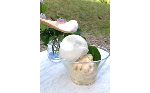 コラボアイス４種セット120ml×60個相当【大容量 パーティー お祭り 自宅用 大満足 季節のアイス C-21】