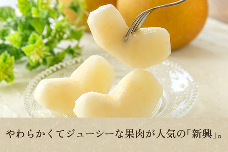 【2024年先行予約】新潟県産 和梨 新興 5kg（7～10玉） 《10月下旬以降発送》しんこう 果物 フルーツギフト 秋の味覚 加茂市 梨工房みつば会