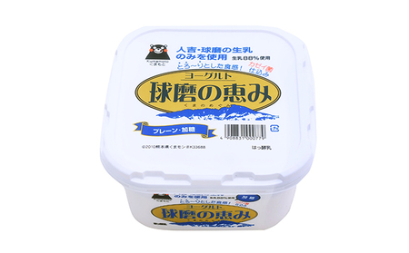 定期便3回 球磨の恵ヨーグルト 1kg×2パック【配送不可：沖縄、離島】 乳製品 発酵食品 朝食 間食 新鮮 生乳 とろ～り もっちり 酸味がない 加糖 2個セット 3回お届け 大容量 