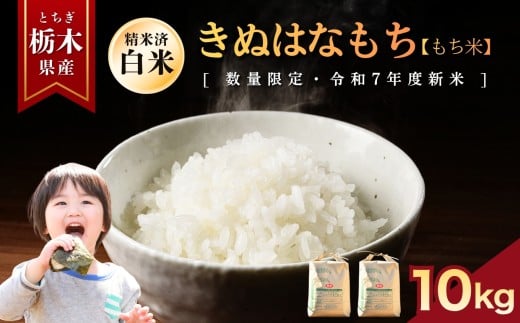 きぬはなもち(もち米)  10kg | お米 米 もち米 ミルキークイーン きぬはなもち とちぎの星 コシヒカリ こしひかり 美味しい お弁当 選べる 定期便 ふるさと 納税 栃木県 矢板市