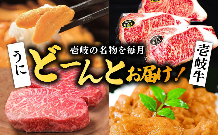 ステーキ 人気 和牛  壱岐牛 希少 柔らかい やわらかい 贈り物 ギフト  高