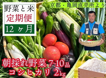 旬野菜 7～10品 コシヒカリ2kg 12回定期便 佐伯の里 野菜 新鮮野菜 旬野菜 野菜 訳あり野菜