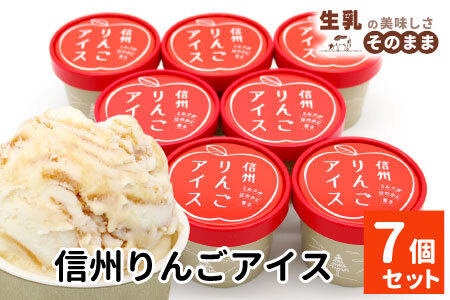 【最短翌日～7営業日以内発送】ふじりんごを丸ごと使用★信州りんごアイス 7個 マーブルアイス アイスクリーム アイス りんご ふじりんご りんごソース 5000円