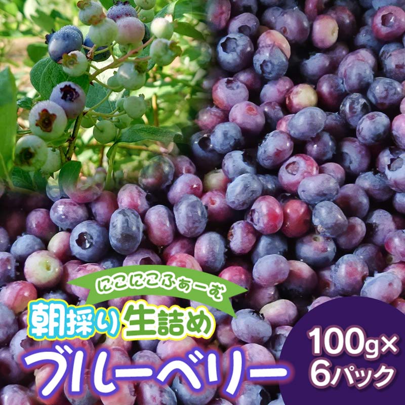 【ふるさと納税】【令和7年産 先行予約】にこにこふぁーむの朝採り生詰めブルーベリー100g×6パック　K-739