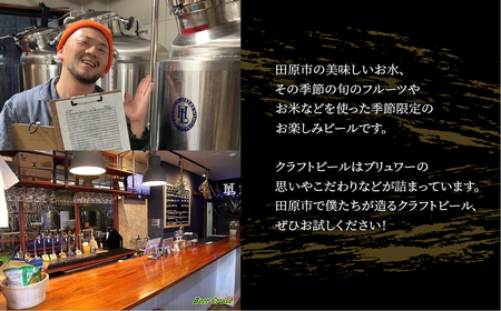High Life Brewing クラフトビールセット 3本 クラフトビール ビール IPA 330ml 瓶 瓶ビール お酒 酒 ご当地 おすすめ 愛知県 田原市 渥美半島 送料無料