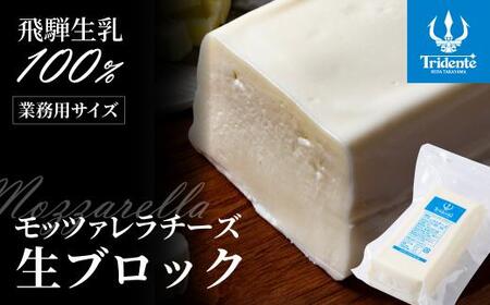 飛騨生乳100％ モッツァレラチーズ生ブロック 750g | 冷蔵   業務用 モッツァレラチーズ  トリデンテ LF010