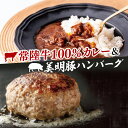 【ふるさと納税】常陸牛カレー(200g×3個)＆美明豚ハンバーグ(約130g×3個)(AP-14)