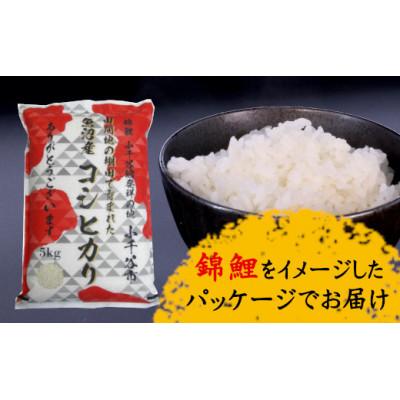 ふるさと納税 小千谷市 【令和7年産】特別栽培米 魚沼産コシヒカリ 精米5kg 棚田米 錦鯉発祥の地 小千谷産 新潟県