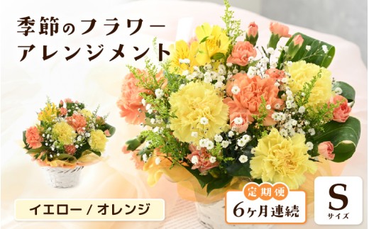 定期便 ≪6ヶ月連続お届け≫ 選べるカラー 季節のフラワーアレンジメント S (イエロー・オレンジ) 【お花 フラワー アレジメント 花束 ギフト 生花 プレゼント 花束 花 記念日 敬老の日 お祝い】 [D-20701_02] 